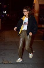 ZENDAYA Night Out in New York 02/04/2020
