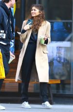 ZENDAYA Out and About in New York 02/03/2020