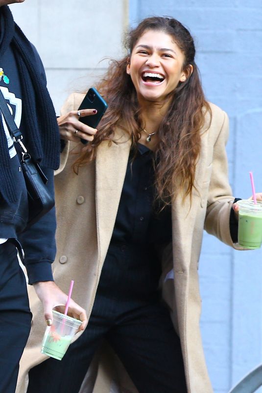 ZENDAYA Out and About in New York 02/03/2020