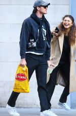 ZENDAYA Out and About in New York 02/03/2020