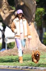 ALESSANDRA AMBROSIO and Nicolo Oddi Out with Their Dogs in Santa Monica 03/17/2020
