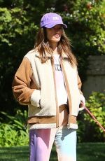 ALESSANDRA AMBROSIO and Nicolo Oddi Out with Their Dogs in Santa Monica 03/17/2020