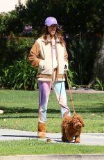 ALESSANDRA AMBROSIO and Nicolo Oddi Out with Their Dogs in Santa Monica 03/17/2020