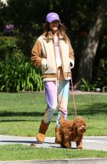 ALESSANDRA AMBROSIO and Nicolo Oddi Out with Their Dogs in Santa Monica 03/17/2020