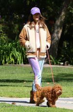 ALESSANDRA AMBROSIO and Nicolo Oddi Out with Their Dogs in Santa Monica 03/17/2020