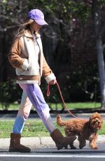 ALESSANDRA AMBROSIO and Nicolo Oddi Out with Their Dogs in Santa Monica 03/17/2020