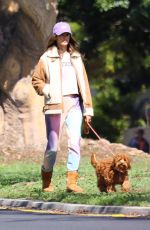 ALESSANDRA AMBROSIO and Nicolo Oddi Out with Their Dogs in Santa Monica 03/17/2020