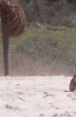 ALESSANDRA AMBROSIO on the Set of a Photoshoot in Riviera Maya in Mexico 03/04/2020