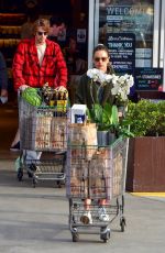 ALESSANDRA AMBROSIO Out Shopping in Santa Monica 03/20/2020