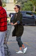 ALESSANDRA AMBROSIO Out Shopping in Santa Monica 03/20/2020