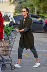 ALESSANDRA AMBROSIO Out Shopping in Santa Monica 03/20/2020