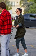 ALESSANDRA AMBROSIO Out Shopping in Santa Monica 03/20/2020
