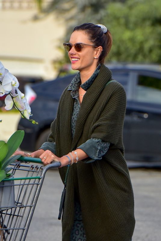 ALESSANDRA AMBROSIO Out Shopping in Santa Monica 03/20/2020