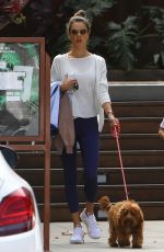ALESSANDRA AMBROSIO Out with Her Dog in Malibu 03/01/2020