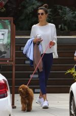 ALESSANDRA AMBROSIO Out with Her Dog in Malibu 03/01/2020