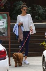 ALESSANDRA AMBROSIO Out with Her Dog in Malibu 03/01/2020