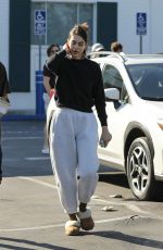 AMELIA HAMLIN and Mercer Wiederhorn Out in West Hollywood 02/29/2020