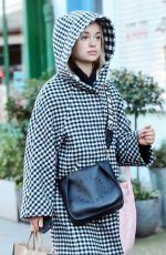 AMELIA WINDSOR Out Shopping in Notting Hill 03/16/2020
