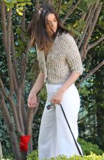 ANA DE ARMAS and Ben Affleck Out with Their Dog in Los Angeles 03/21/2020