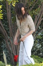 ANA DE ARMAS and Ben Affleck Out with Their Dog in Los Angeles 03/21/2020