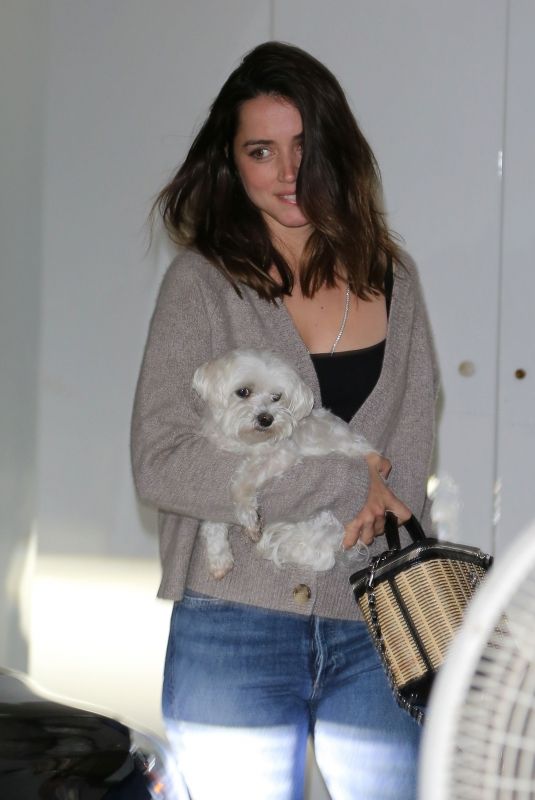 ANA DE ARMAS Out House Hunting with Her Dog in Venice Beach 03/13/2020