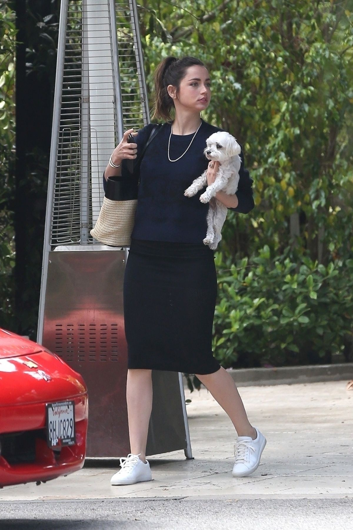 https://www.hawtcelebs.com/wp-content/uploads/2020/03/ana-de-armas-out-with-her-dog-in-los-angeles-03-15-2020-6.jpg