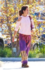 BROOKE BURKE Out Shopping in Malibu 03/23/2020