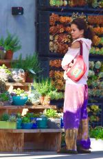 BROOKE BURKE Out Shopping in Malibu 03/23/2020