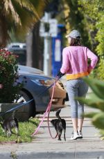 CALISTA FLOCKHART Out with Her Dogs in Los Angeles 03/30/2020