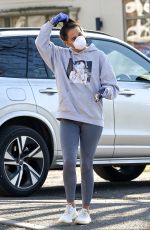 DANIELLE LLOYD Wearing Mask Out Shopping in Birmingham 03/30/2020