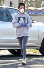 DANIELLE LLOYD Wearing Mask Out Shopping in Birmingham 03/30/2020