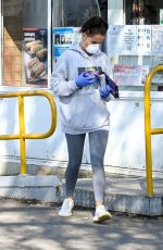 DANIELLE LLOYD Wearing Mask Out Shopping in Birmingham 03/30/2020