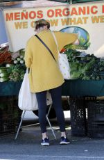 ELIZABETH BANKS Shopping at Garmer