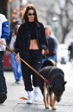 EMILY RATAJKOWSKI and Sebastian Bear McClard Out with Colombo in New York 03/13/2020