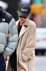 EMILY RATAJKOWSKI and Sebastian Bear McClard Out with Their Dog in New York 03/22/2020