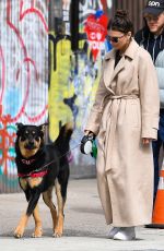 EMILY RATAJKOWSKI and Sebastian Bear McClard Out with Their Dog in New York 03/22/2020