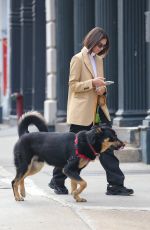 EMILY RATAJKOWSKI in Givenchy Wool Blazer Out with Her Dog in New York 03/11/2020