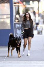 EMILY RATAJKOWSKI in Yoga Shorts Out with Her Dog in New York 03/20/2020