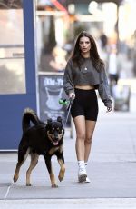 EMILY RATAJKOWSKI in Yoga Shorts Out with Her Dog in New York 03/20/2020