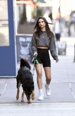 EMILY RATAJKOWSKI in Yoga Shorts Out with Her Dog in New York 03/20/2020