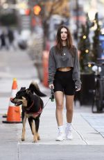 EMILY RATAJKOWSKI in Yoga Shorts Out with Her Dog in New York 03/20/2020