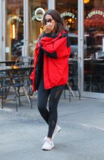EMILY RATAJKOWSKI Out and About in New York 03/04/2020