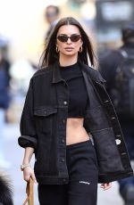 EMILY RATAJKOWSKI Out with Her Dog in New York 03/13/2020