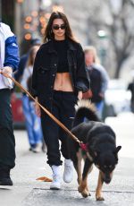EMILY RATAJKOWSKI Out with Her Dog in New York 03/13/2020
