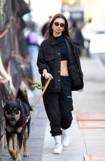 EMILY RATAJKOWSKI Out with Her Dog in New York 03/13/2020