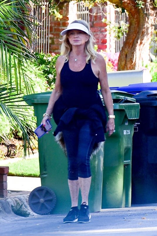 GOLDIE HAWN Out Hiking in Los Angeles 03/30/2020
