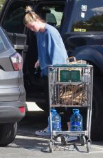 IRELAND BALDWIN Leaves Erewhon Organic Grocers in Los Angeles 03/19/2020