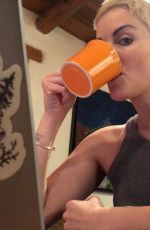 JAIMIE ALEXANDER - Instagram Photos 03/21/2020