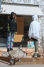 JESSICA and ASHLEY HART Out in Los Angeles 03/26/2020