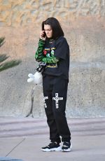 JESSIE J at Six Flags Magic Mountain in Los Angeles 02/26/2020